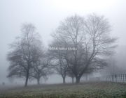 Bessbrook-Winter-fog-2024-9-of-11