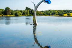 Bessbrook pond and flax flower art