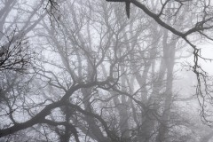Bessbrook-Winter-fog-2024-11-of-11