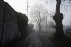 Bessbrook-Winter-fog-2024-8-of-11