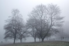 Bessbrook-Winter-fog-2024-9-of-11