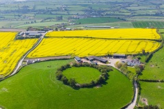 Lurganare village and rapeseed oil yellow field co down